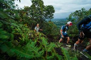 BIB: 
                            <button type="button" onclick="openModal(26196511)" class="btn btn-primary btn-sm float-right btn-popup" data-toggle="modal" data-target=".modal-high-quality">
                        <i class="fas fa-shopping-cart"></i> Add to Cart
                    </button>
                                            <button type="button" onclick="isThisMe(26196511, true)" class="btn btn-success btn-sm float-right btn-popup btn-isme hidden" data-toggle="tooltip" data-placement="bottom" title="นี่คือรูปของคุณใช่ไหม คลิกที่นี่เพื่อเอาเข้าอัลบั้ม">
                        <i class="fas fa-plus"></i> Add to album
                    </button>
                    <button type="button" onclick="isThisMe(26196511, false)" class="btn btn-warning btn-sm float-right btn-popup btn-isnotme hidden">
                        <i class="fas fa-ban"></i> Remove from album
                    </button>